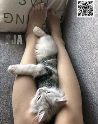 A片女人与动物做爱免费观看_免费超清在线观看