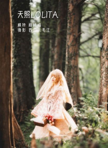 免费看一级视频_BD视频大全