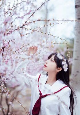 精品1区2区_DVD免费高清观看